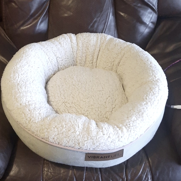 Vibrant Life Small Pets Vibrant Life Pet Bed Poshmark